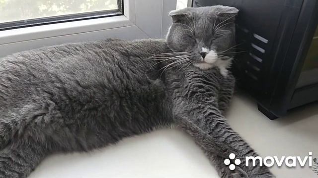 баю бай смотреть онлайн