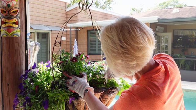 Planting Hanging Baskets And Clay Pot Containers Pool Side // Growing Tropical  🌴