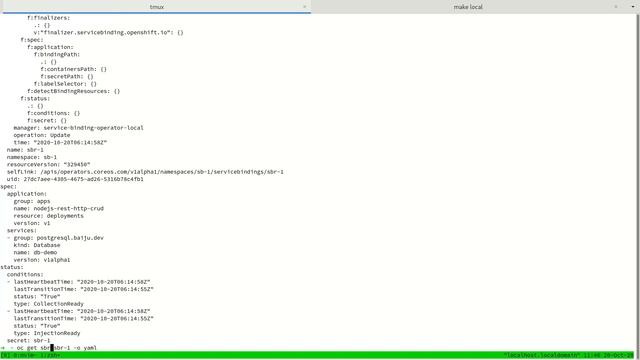 Service Binding Operator - application pod constantly terminating смотреть онлайн