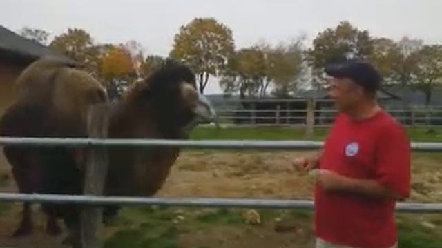 польша зоопарк прикол смотреть онлайн