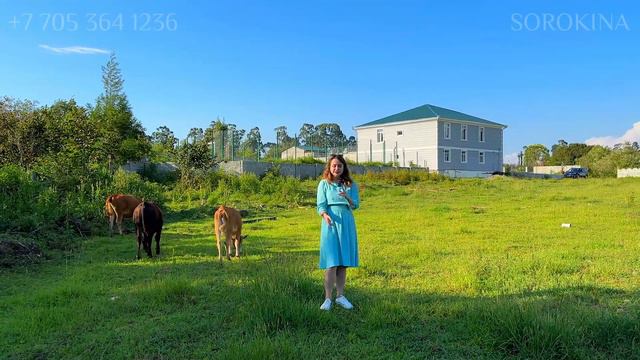 ГОРЯЧАЯ сделка: Доступный дом с большим участком в Кобулети смотреть онлайн