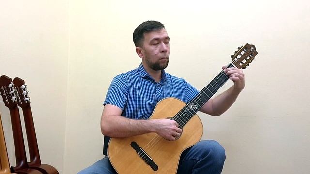 С. Гессе - Вальс для принцессы , исп.Роман Киселев смотреть онлайн