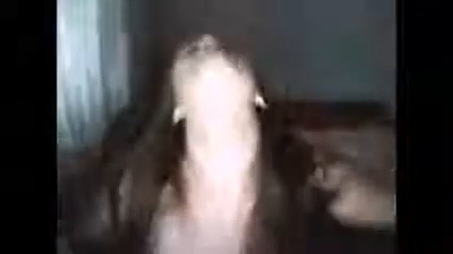 Девушка перед веб-камерой!/MUSIC PARTY!!! смотреть онлайн