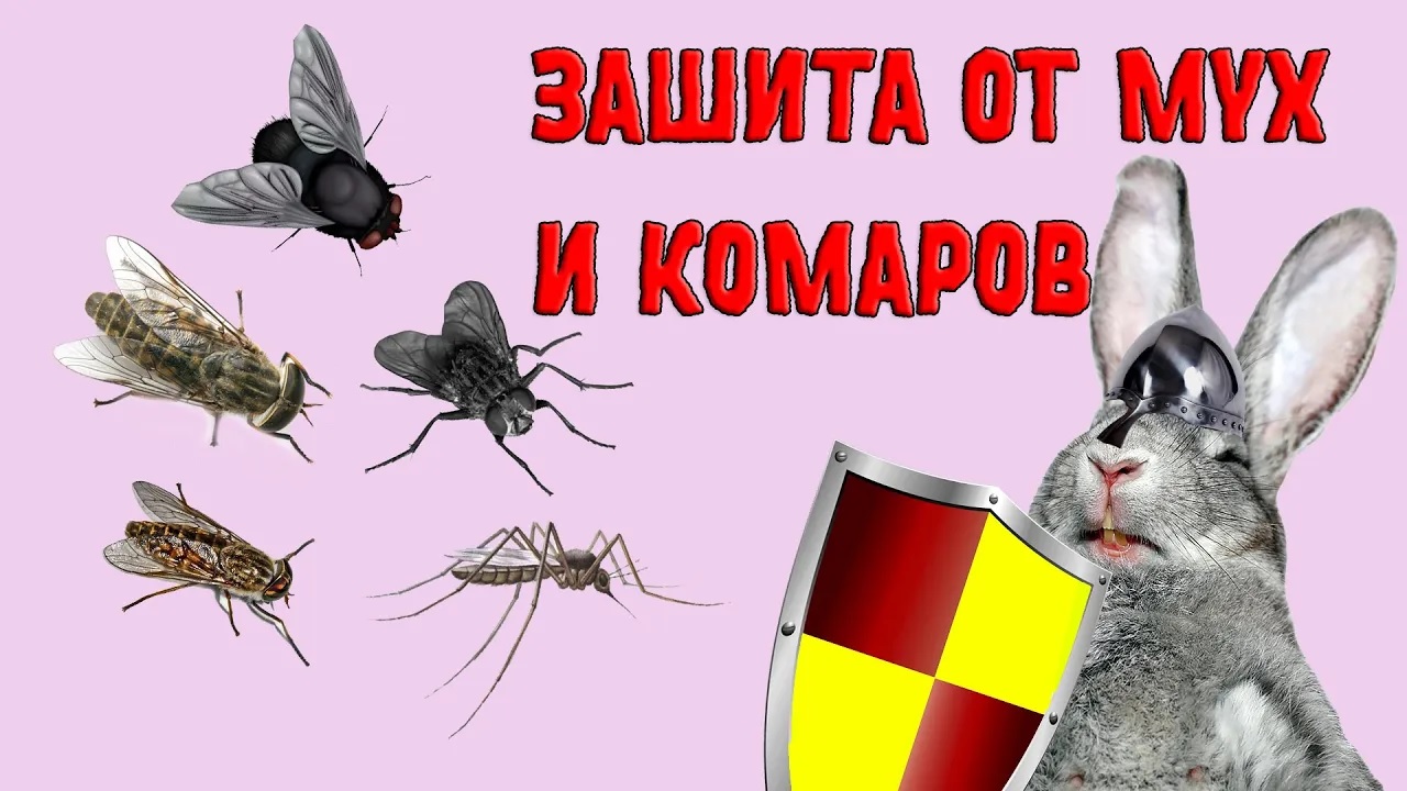 Как защитить кроликов комаров, мух и вирусов смотреть онлайн