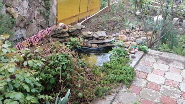 Зачем в саду лягушки смотреть онлайн