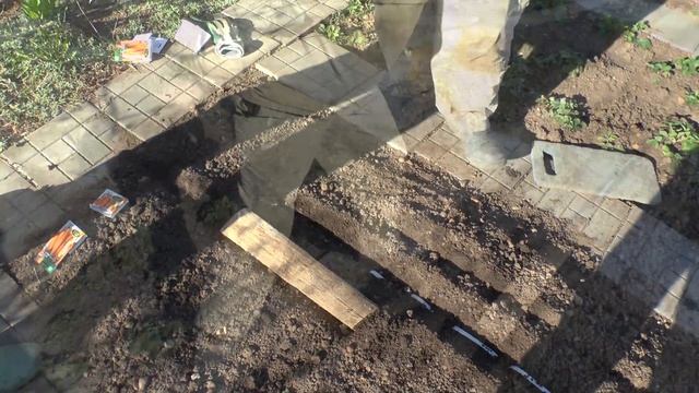 ДАЧНЫЕ СОВЕТЫ - ПРОСТАЯ И БЫСТРАЯ ПОСАДКА МОРКОВКИ смотреть онлайн