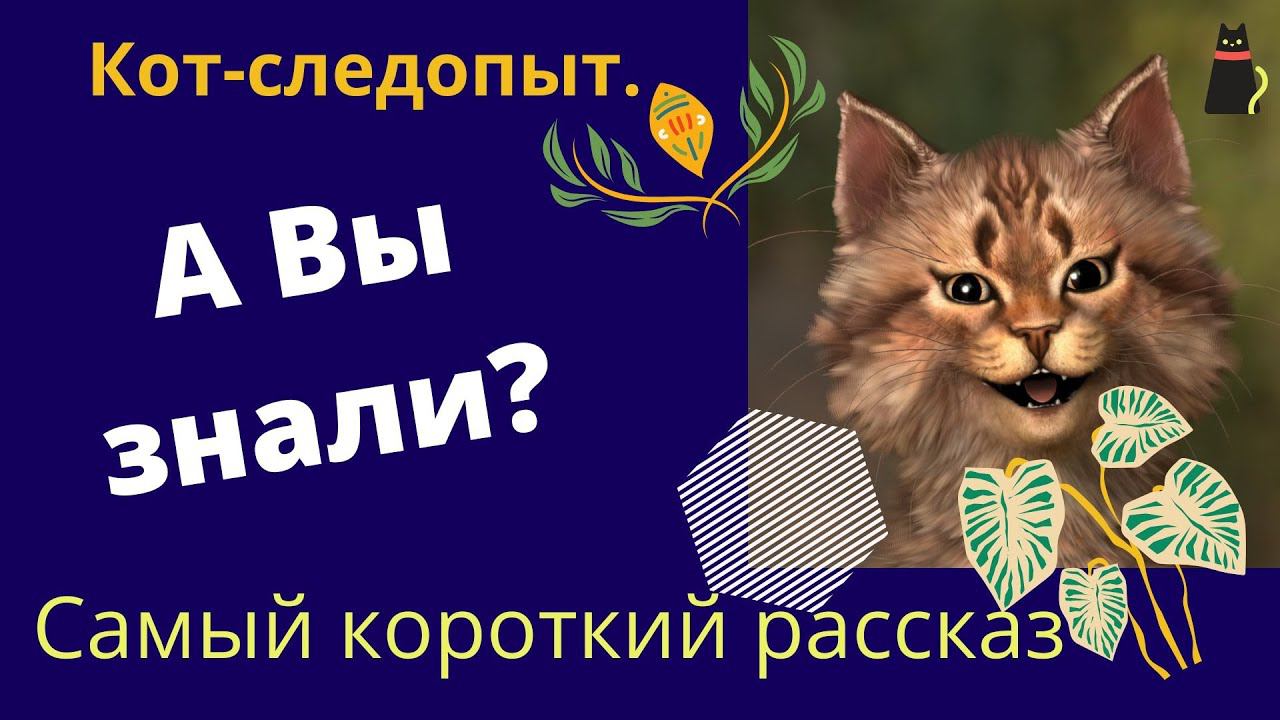 ШЕСТЬ ПУЛЬ ПО УНИТАЗУ. Котейка идет по следу. смотреть онлайн