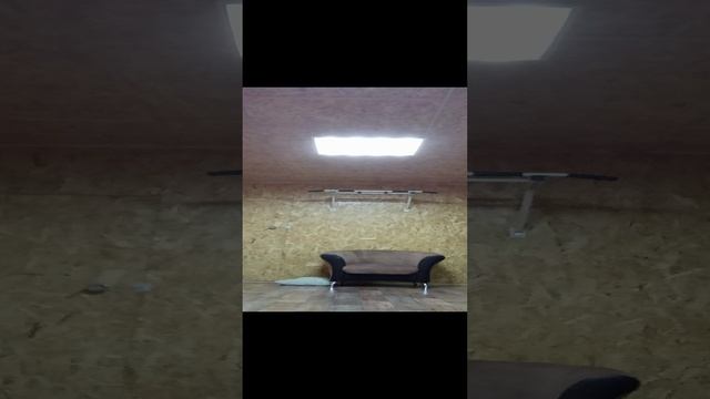 VID_20230501_204851.mp4