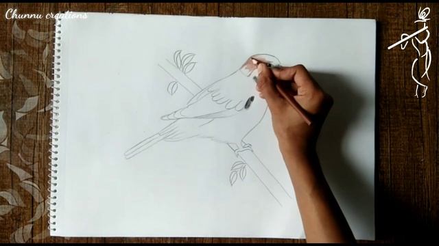 Very easy way to draw Sparrow sketch || How to draw a bird step by step || Drawing Sparrow смотреть онлайн
