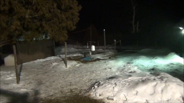 1988 Calgary Winter Olympics Bobsleigh & Luge Duck Pen Lighting #59 Breeding Ducks смотреть онлайн