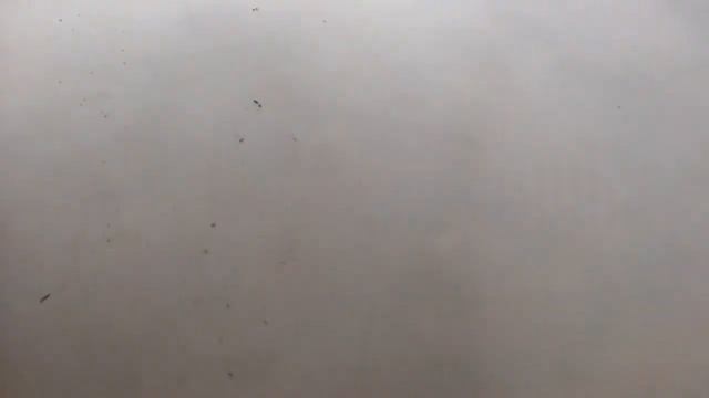 Полусухая стяжка в новостройке