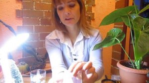 КАК ПОСЕЯТЬ ИМПАТИЕНС АМПЕЛЬНЫЙ ? " БАЛЬЗАМИН ИЛИ ВАНЬКА МОКРЫЙ "  В ГОСТЯХ У ЕЛЕНЫ .