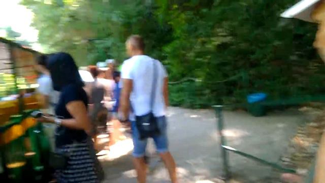 Апшеронск Гуамское ущелье посадка на поезд смотреть онлайн