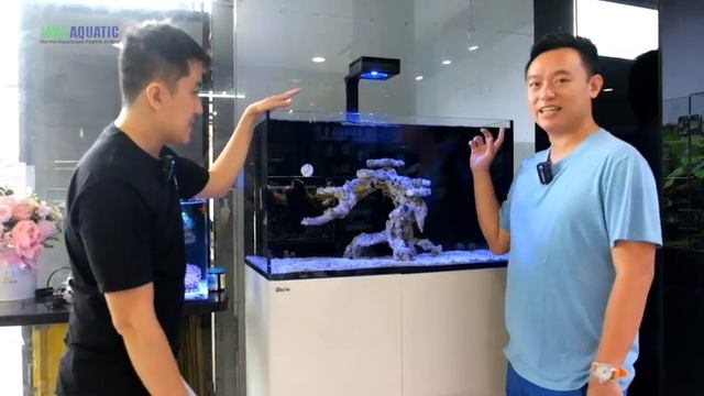 INTIP GALERI JAVA PET CO SEMARANG! - ADA YANG JAVA AQUATIC GA PUNYA смотреть онлайн