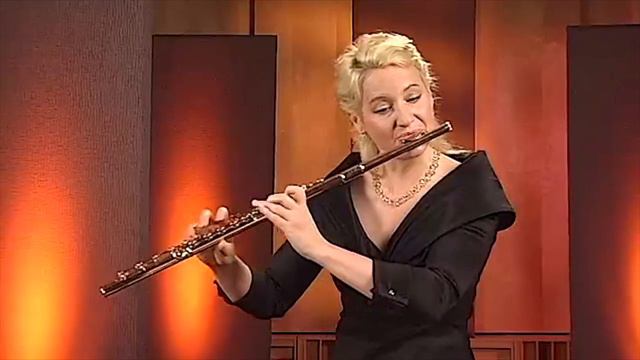 Telemann Fantasia 11 for Flute in G Major смотреть онлайн