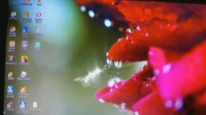 Как скачать гача лайф на ПК??? Ответ тут???