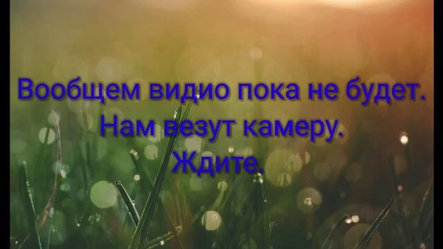 Новая камера! смотреть онлайн
