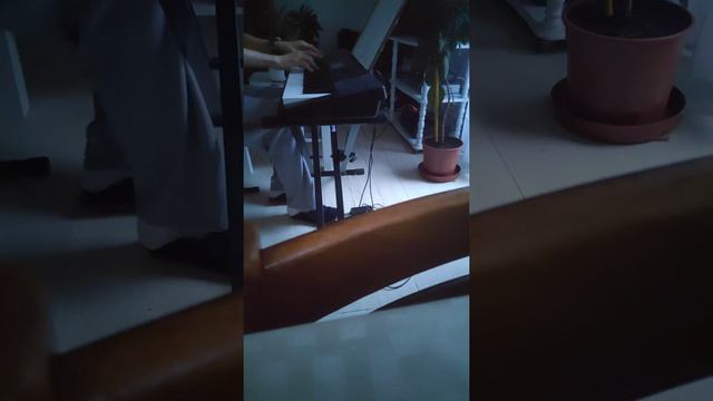 ensayos con sensibilidad 2 Casio CTK 3500 смотреть онлайн