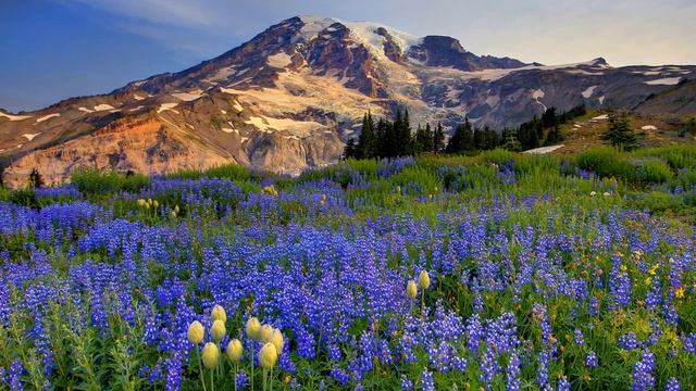 Морщины ложатся на сердце Читает автор Геннадий Тахтабаев смотреть онлайн