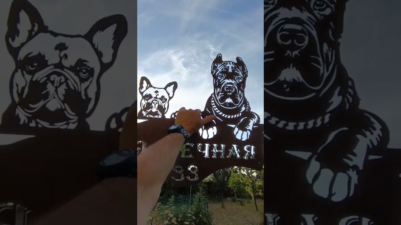 #frenchbulldog #buldoguefrances #buldog #kanekorso #kanekorsoitaliano смотреть онлайн
