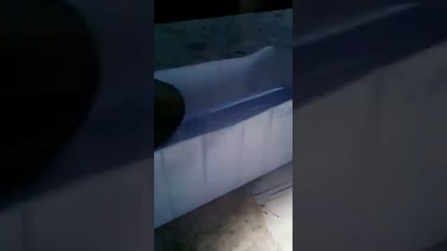 Зоздал новую колонку.самый жостикий бас смотреть онлайн