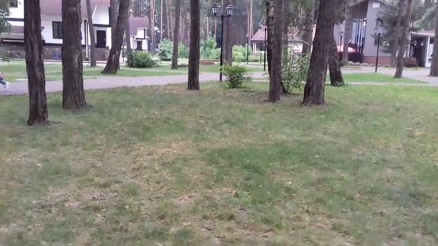 Где отдохнуть-погулять в Подмосковье?Кислородный курорт. ПАРК-ОТЕЛЬ ДРАКИНО. смотреть онлайн