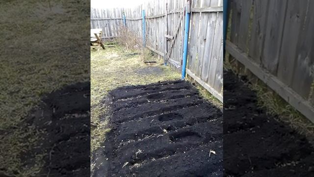 14 апреля, время сажать медоносы. смотреть онлайн