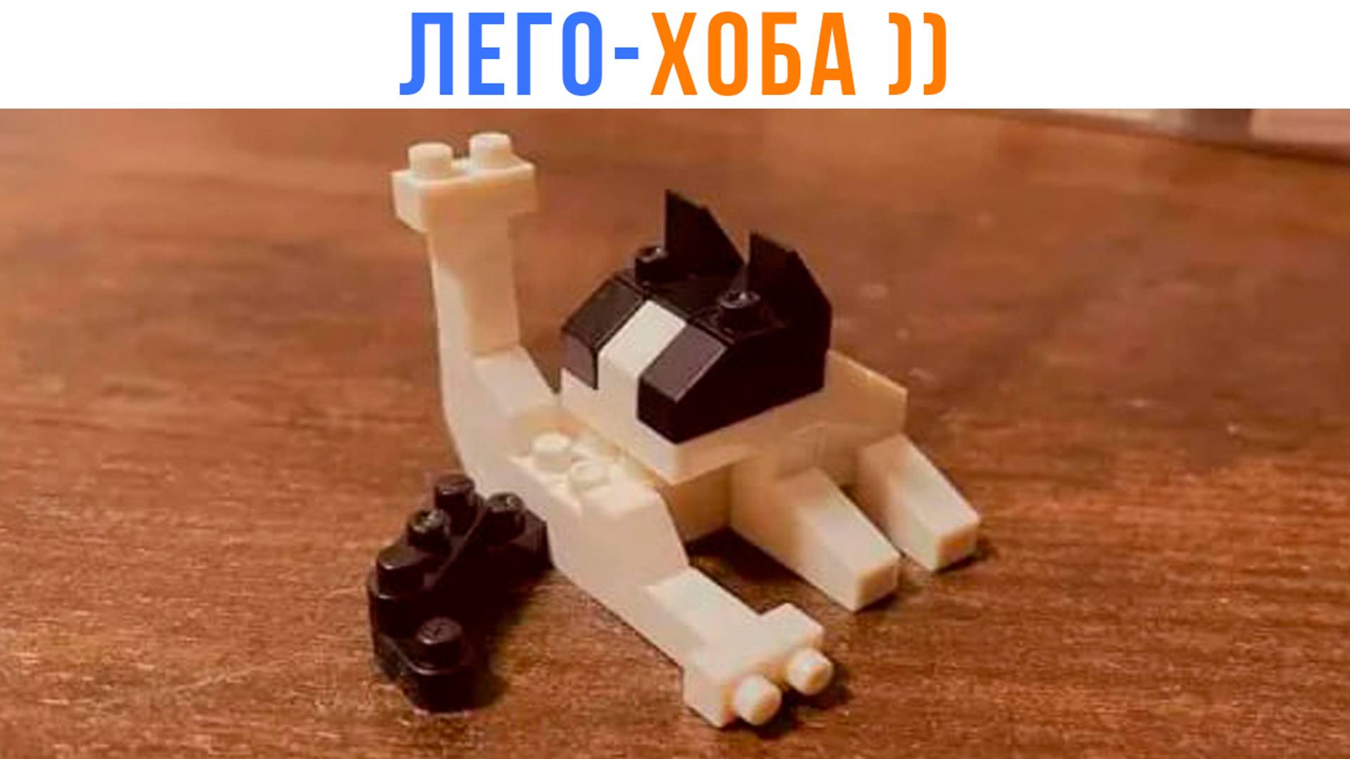 ЛЕГО-ХОБА! ))) | Приколы с котами | Мемозг 1477 смотреть онлайн