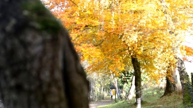 Nikon D3100 + Nikkor 1:1,8G lens test смотреть онлайн