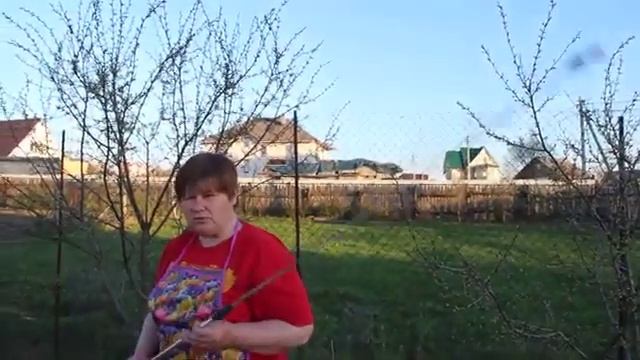 Опрыскивание деревьев весной Подробное видео От А до Я смотреть онлайн