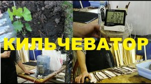 Самый простой и дешевый кильчеватор для черенков винограда
