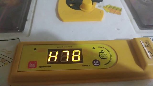 РЕЖИМ ИНКУБАЦИИ УТИНЫХ ЯИЦ смотреть онлайн