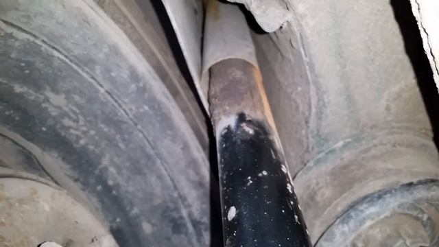 Ревизия жопки смотреть онлайн