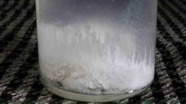 ? "Химические ВОДОРОСЛИ" простой ЭКСПЕРИМЕНТ в домашних условиях смотреть онлайн