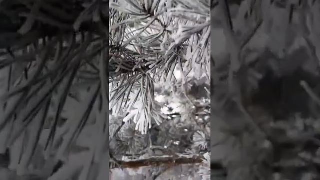 Отличного вам настроения смотреть онлайн