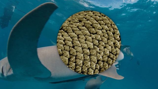 День российской науки 1-2 класс смотреть онлайн