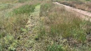 Газонокосилка /lawnmower CAIMAN FERRO 55CLV