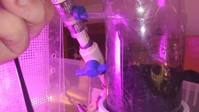 Giant DIY enclosures for a Reticulated Python, Green Anaconda, and Dwarf Caiman! Updated features!! смотреть онлайн