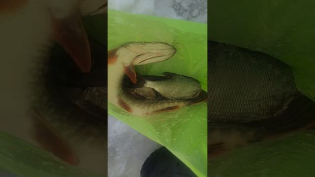 6 февраля 2021 г. смотреть онлайн