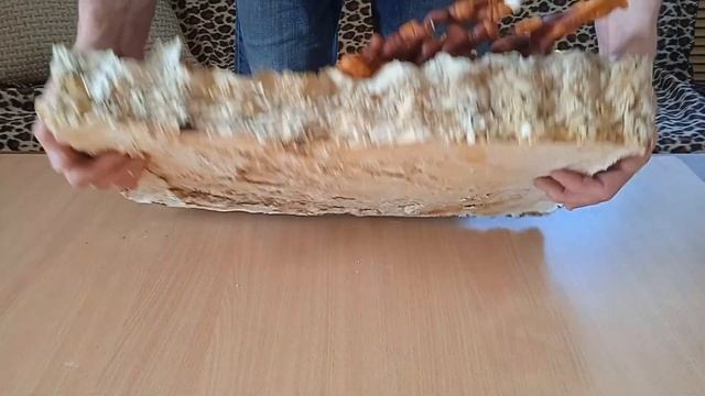 Гриб Рейша в домашних условиях. Первый опыт. смотреть онлайн