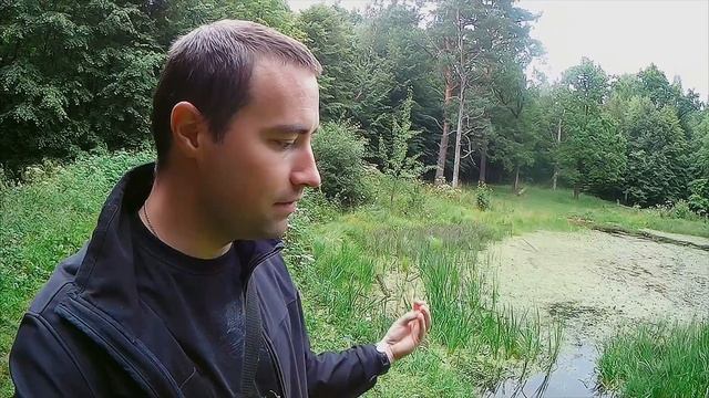 Что такое мертвая вода? Польза или вред с точки зрения энергетики. смотреть онлайн