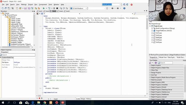 Delphi Programming Example with Database смотреть онлайн