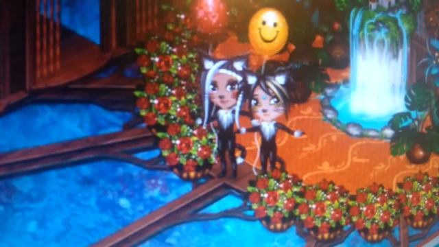 Кошка-это дикий зверь смотреть онлайн