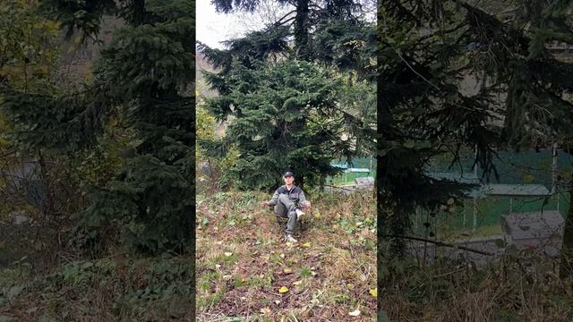 Нарисовалась неожиданная поездка в Крым! К президенту МСС "Гаргулии". смотреть онлайн