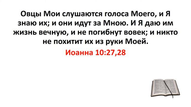 Библия, Новый Завет. Иоанна 10:27,28 смотреть онлайн