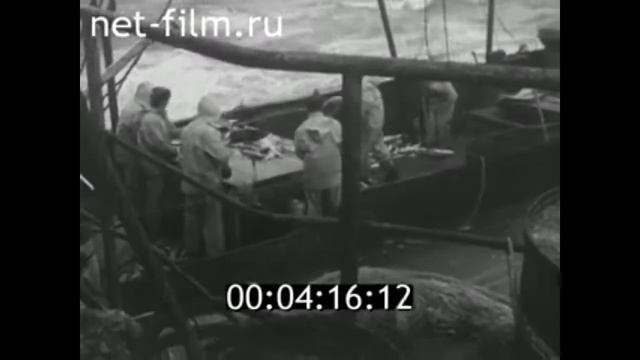 1969г. Мурманск. порт. рыбаки смотреть онлайн