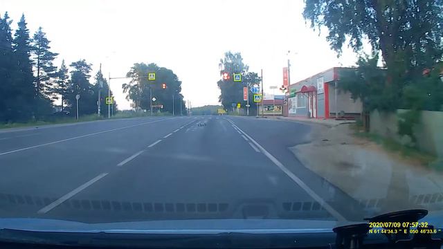 Нижний Чов, утка с утятами переходит дорогу. смотреть онлайн