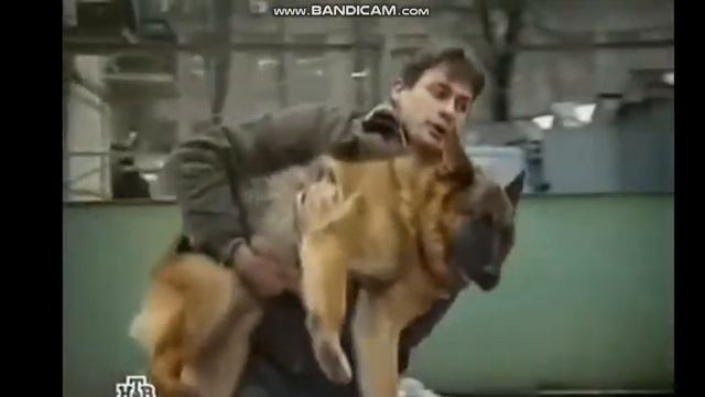 Заставка "ВОЗВРАЩЕНИЕ МУХТАРА - 4" (2007 г.) смотреть онлайн