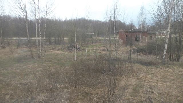 Станция Жижица из окна поезда № 063 Москва – Псков смотреть онлайн