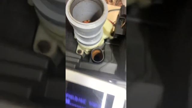 Кофемашина Delonghi , кофе Вьетнамская робуста #sochi #phoenix #ремонткофемашин #adler #coffee смотреть онлайн